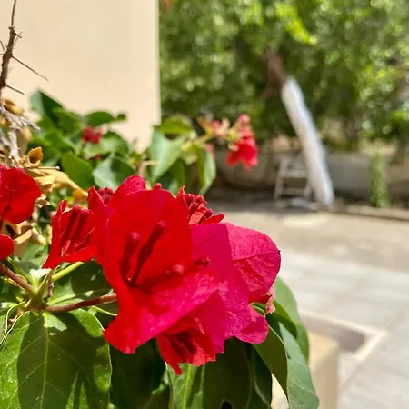 Yiayia's House, In Zipari Village 